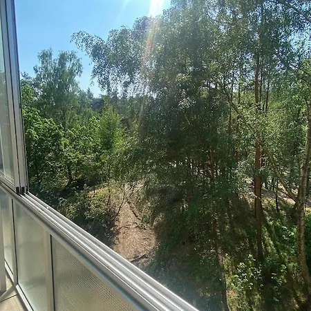 شقة Forest View *