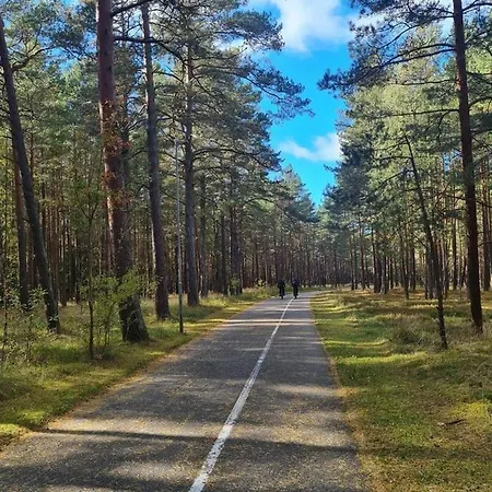 Forest View شقة